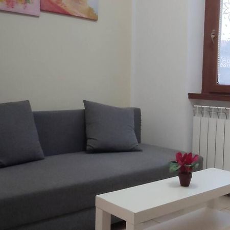 Janahome - Affitti Brevi Pisa Eksteriør billede